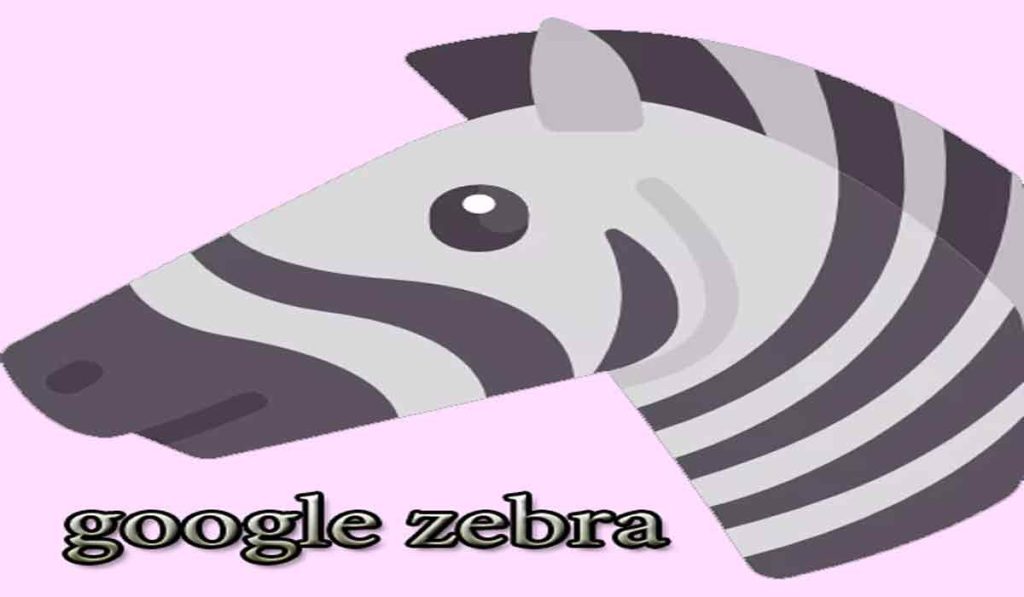 الگوریتم گوره خر (‌google zebra) چیست؟