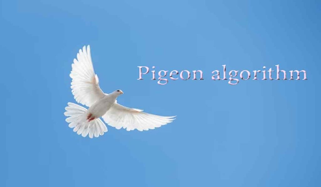 الگوریتم کبوتر (Pigeon algorithm) چیست؟