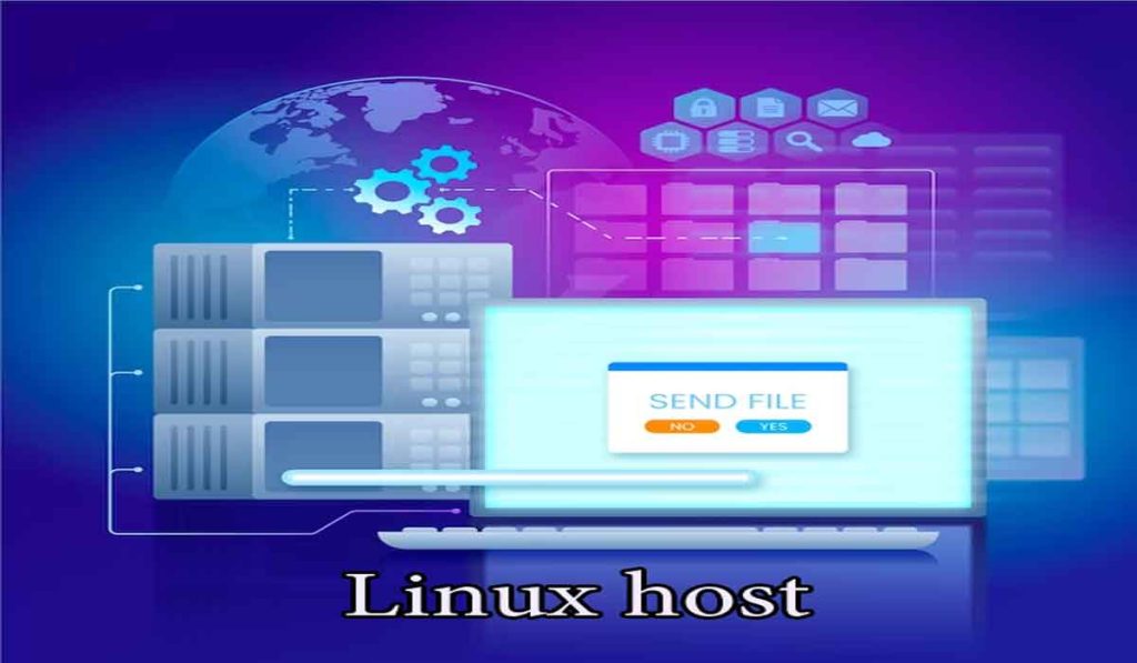 هاست لینوکس (Linux host)، آشنایی با این فضای میزبانی محبوب