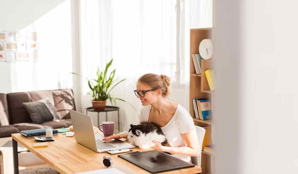راه اندازی کسب و کار اینترنتی در خانه، معرفی 5 شغل آنلاین در منزل